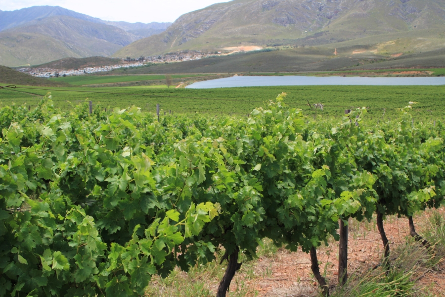 6 Bedroom Property for Sale in Ashton Western Cape